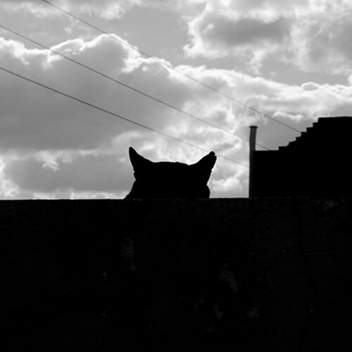 CIRCULAR - Photography